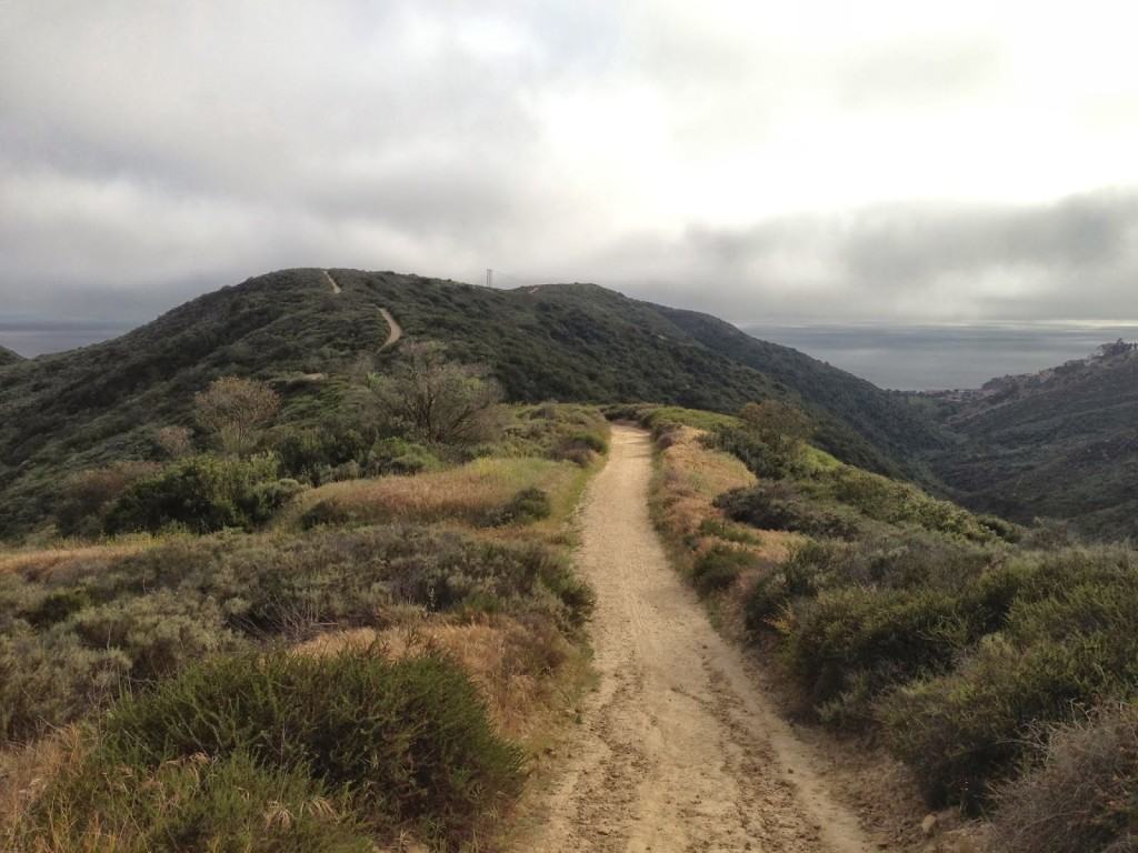 Hiking Trails in Orange County - Laguna Beach Hiking Trail Dartmoor Hiking Trail Laguna Beach Canyon 1024x768