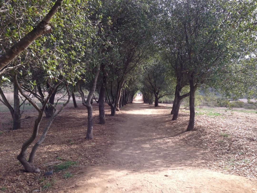 ironmountainsandiegohikingtraillocalactivity Go Hike It