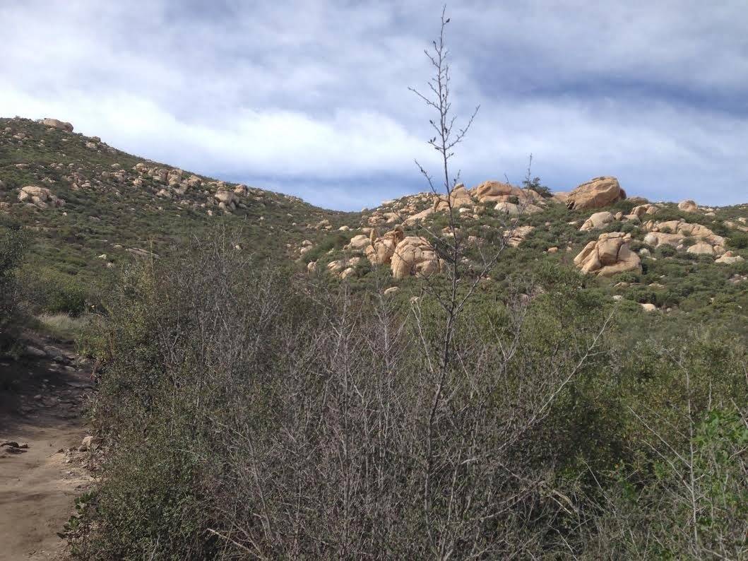 Alfredo gurrola thesis 05 image