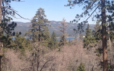 Mill Creek Road Trail – Big Bear Lake Hiking Trails