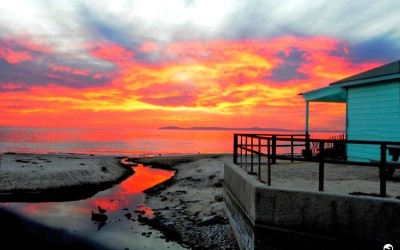Crystal Cove State Park Hiking Trail