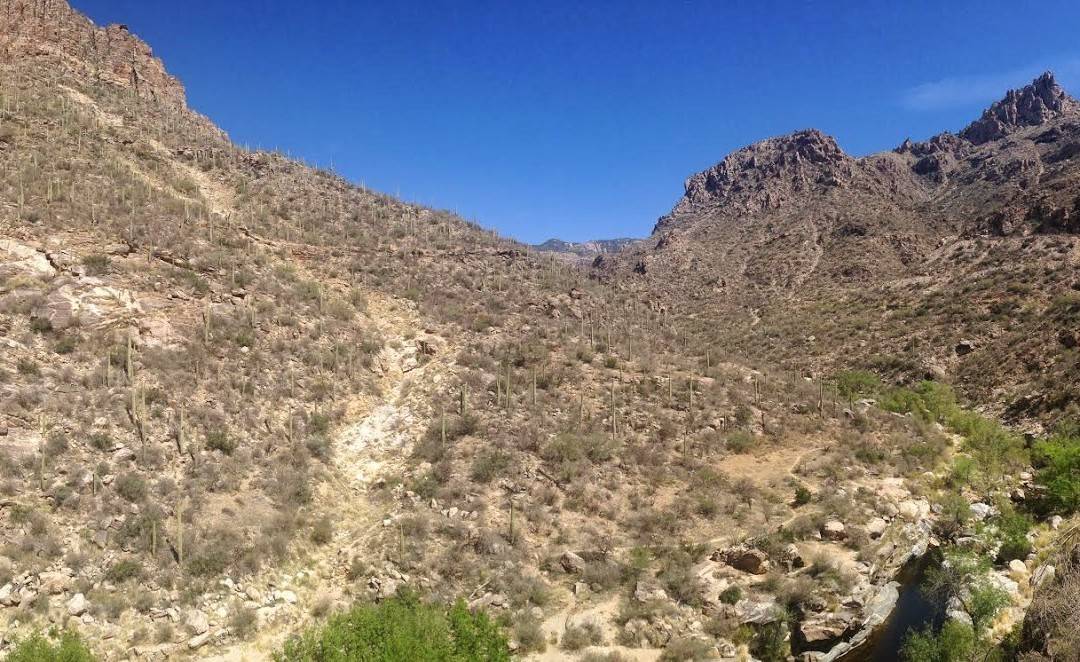 Sabino Canyon Hiking Trail – Tucson Arizona Hike