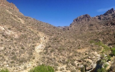 Sabino Canyon Hiking Trail – Tucson Arizona Hike