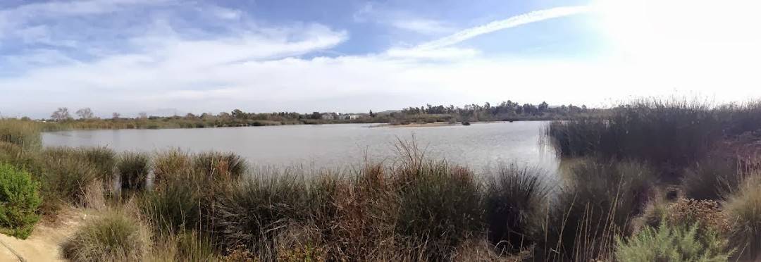 San Joaquin Marsh and Wildlife Sanctuary – Irvine Hiking Trails