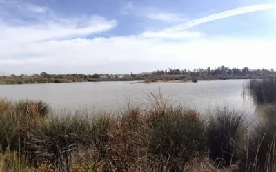 San Joaquin Marsh and Wildlife Sanctuary – Irvine Hiking Trails