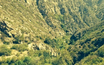 Malibu Creek Hiking Trail – Rindge Dam Hike