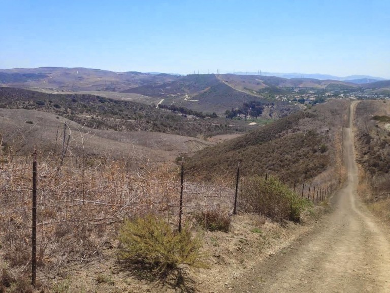 Pro embalming essays 05 picture