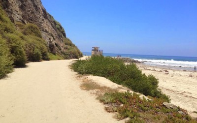 Salt Creek Beach Hiking Trail