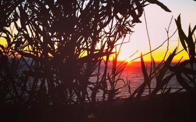 Summer Hikes In Orange County