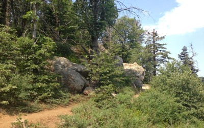 Lake Arrowhead Hiking Trails – Heaps Peak Arboretum