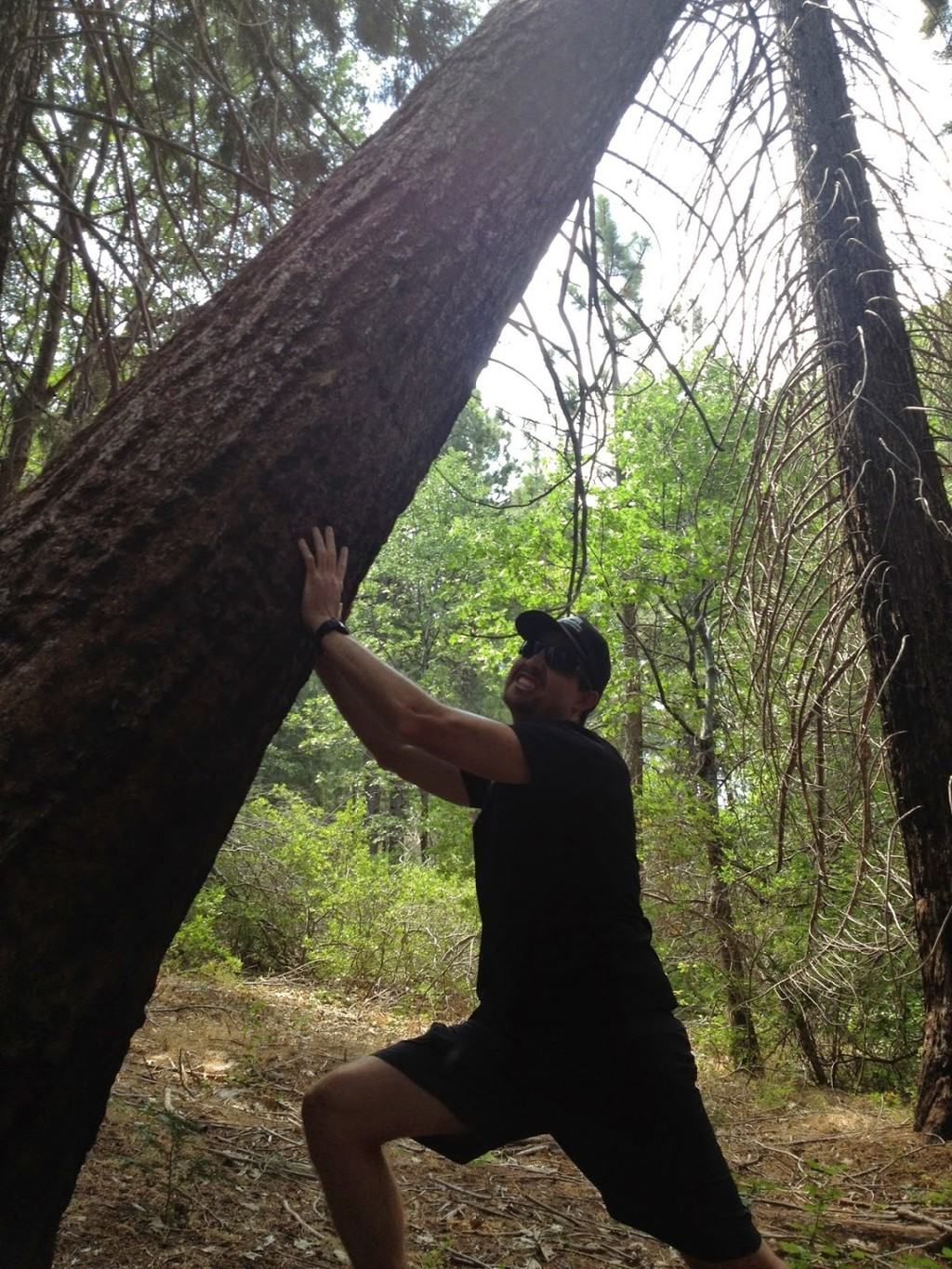 Gail ferreira dissertation 06 picture