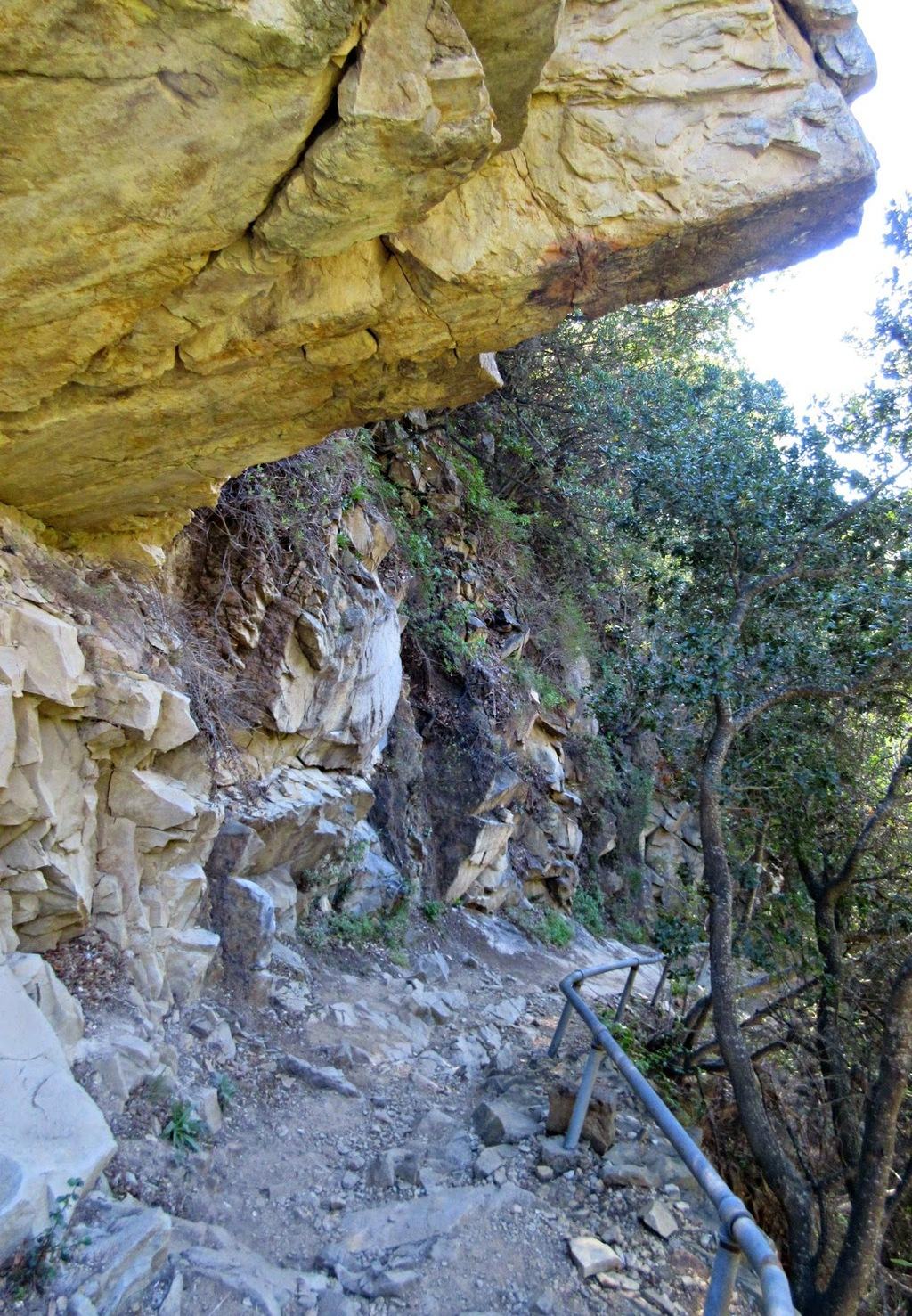 Dissertation meaning picture