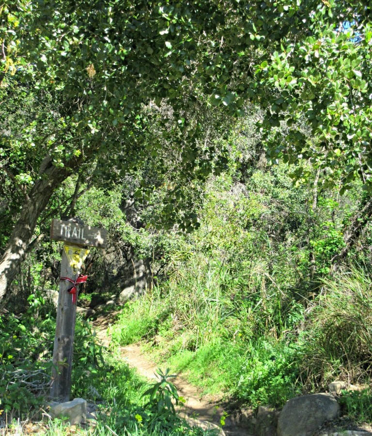 Babak heydari dissertation 08 picture