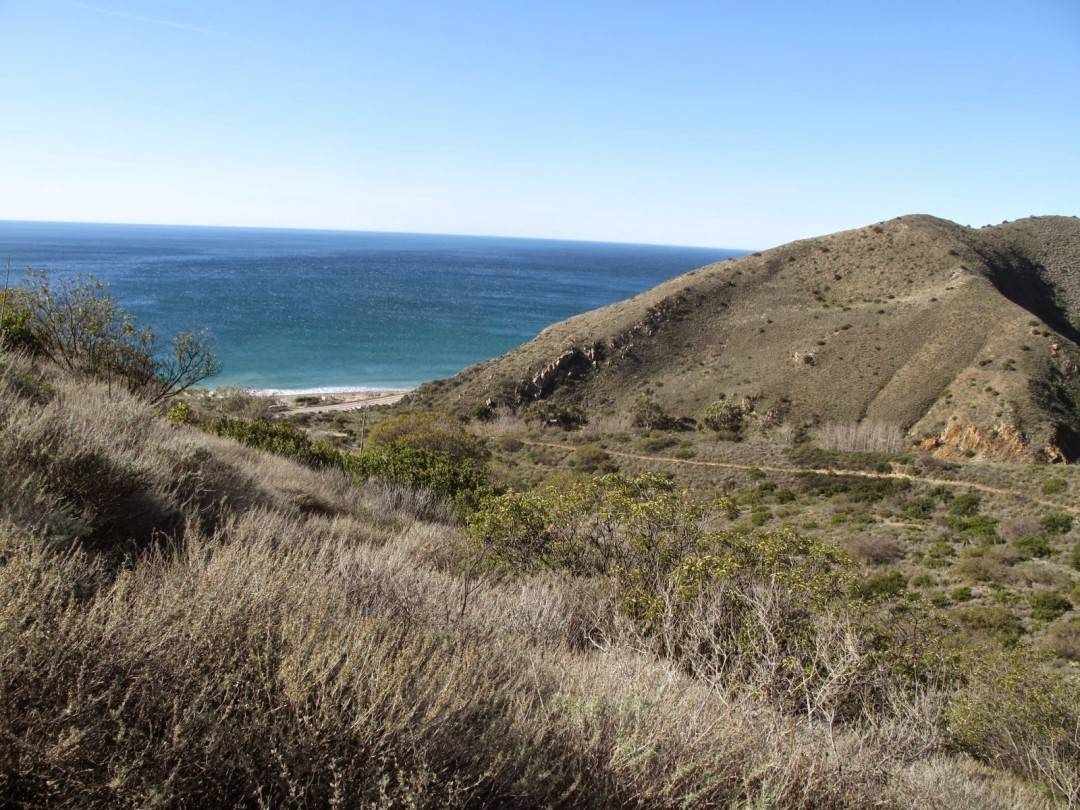 Essaypro reviews image