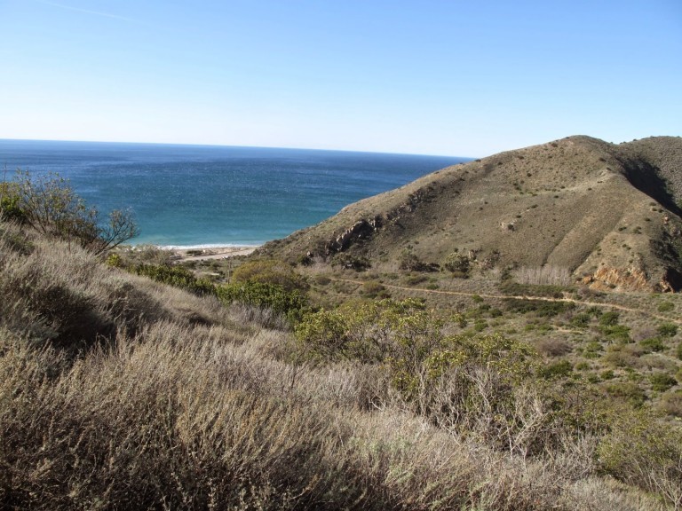 Essaytown legit image