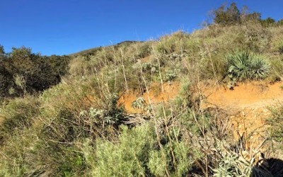 Saddleback Mountain Hike