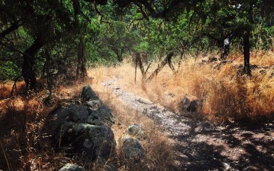 Santa Rosa – Annadel State Park Hiking Trail