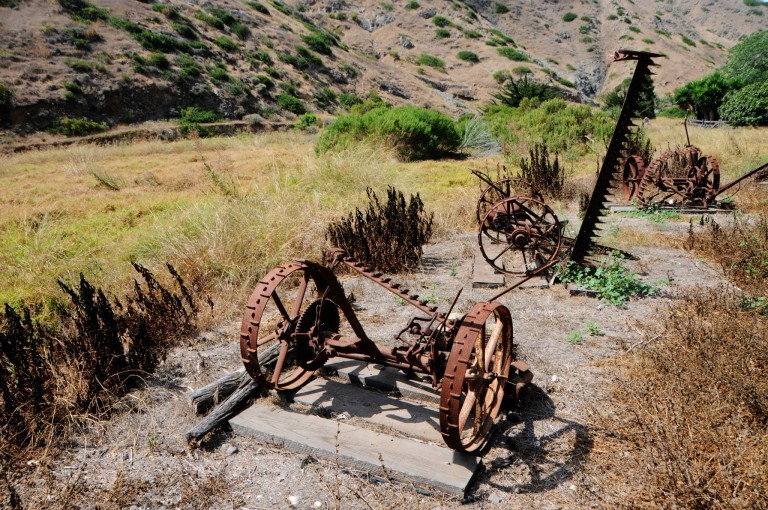 How did emmett till die image