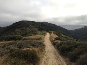 laguna beach hiking trail, laguna beach hikes, orange county hikes, oc hikes, so cal hikes, southern california hiking trails, orange county, laguna beach, aliso viejo, hiking trail, best hikes