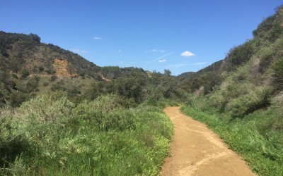 Franklin Canyon Park | Los Angeles Hiking Trail