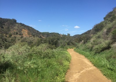 Franklin-Canyon-Park-Hike-Los-Angeles-Hiking-Trails-Santa-Monica-Mountains-11