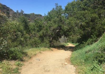 Franklin-Canyon-Park-Hike-Los-Angeles-Hiking-Trails-Santa-Monica-Mountains-12