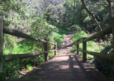 Franklin-Canyon-Park-Hike-Los-Angeles-Hiking-Trails-Santa-Monica-Mountains