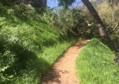 Franklin-Canyon-Park-Hike-Los-Angeles-Hiking-Trails-Santa-Monica-Mountains-5
