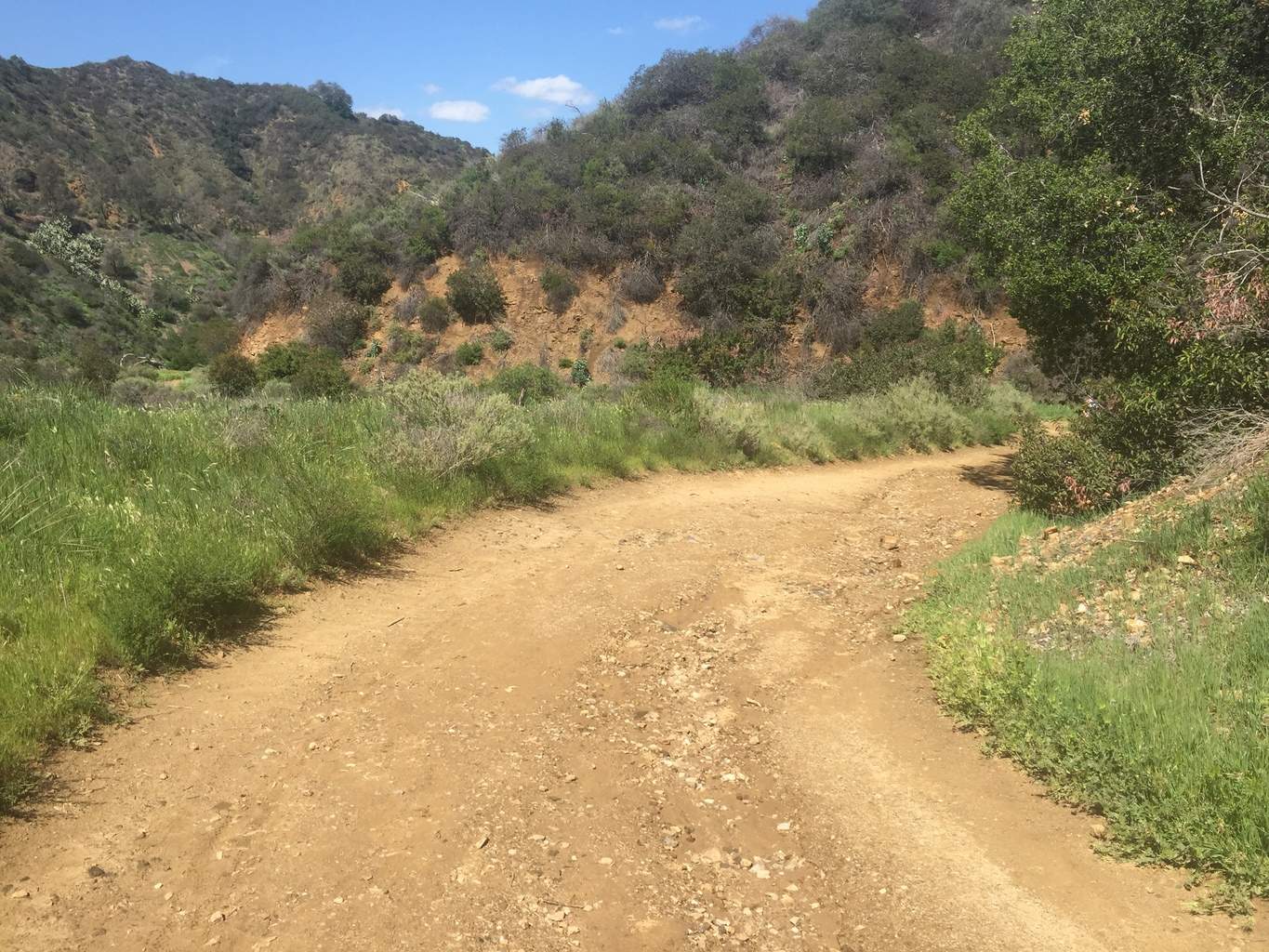 Franklin-Canyon-Park-Hike-Los-Angeles-Hiking-Trails-Santa-Monica-Mountains-9
