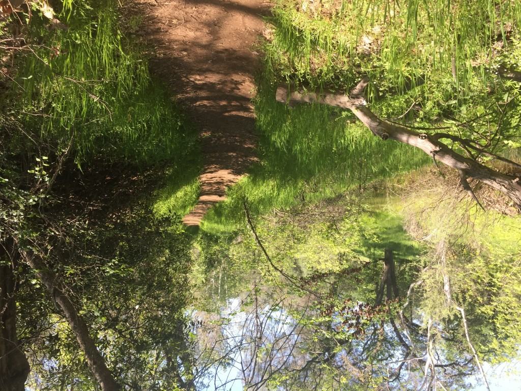 bidwellparkyahitrailchicohikingtrailnortherncalifornia144 Go