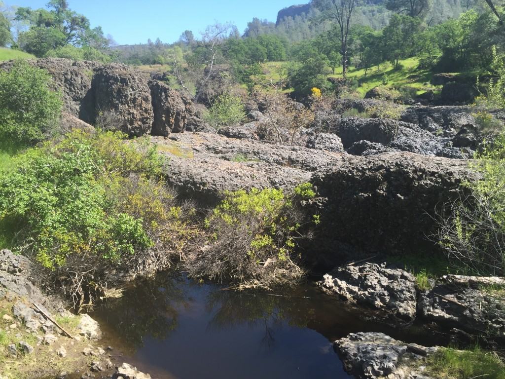 bidwellparkyahitrailchicohikingtrailnortherncalifornia20 Go