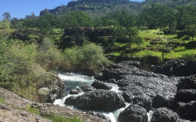 Upper Bidwell Park Hike | Yahi Trail| Chico Hiking Trails