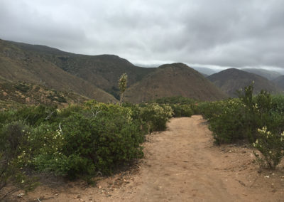 Cedar Creek Falls, San Diego Hiking Trail, San Diego Dog Friendly Hikes, San Diego Hike, Ramona Hike, Julian Hike, Best San Diego Hike
