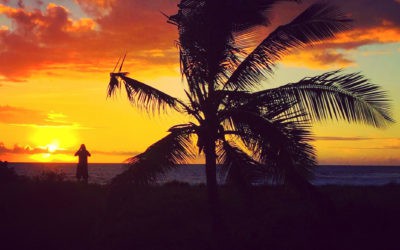 Kona Hiking Trail | Old Airport Road Hike