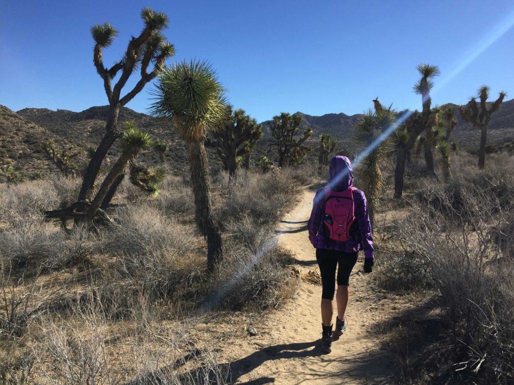 joshuatreehikepalmspringshikes29 Go Hike It