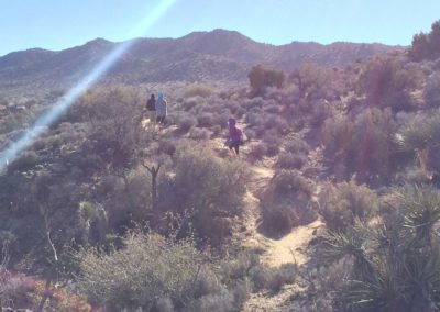 Joshua tree, joshua tree hiking trail, warren peak, palm springs hiking trail, desert hikes, palm springs hiking trail, warren peak, warren peak mountain