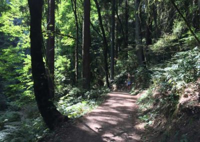 portland oregon hiking trail, oregon hikes, portland hiking, outdoor oregon hike, oregon hikes, best portland hiking trails