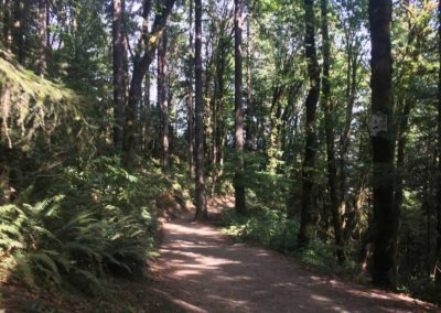 portland oregon hiking trail, oregon hikes, portland hiking, outdoor oregon hike, oregon hikes, best portland hiking trails