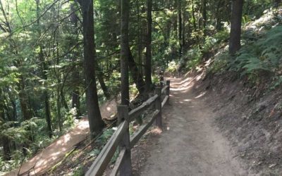 Forest Park Hiking Trail | Wildwood Trail Portland Hike