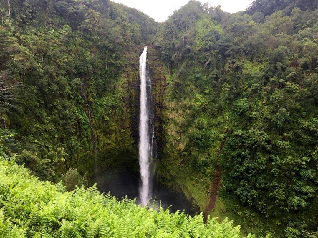 konawaterfallhikebesthawahike13 Go Hike It