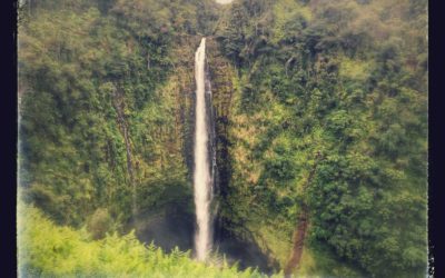 Kona Hawaii Hiking Trail | Akaka Falls & Kahūnā Falls Hike Adventure