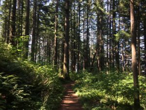 multnomah falls oregon, oregon hiking trails, best oregon hiking trails, columbia river gorge, popular water fall hikes, best hikes to do in oregon, best waterfall hike