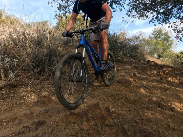 David essayan fda 05 picture