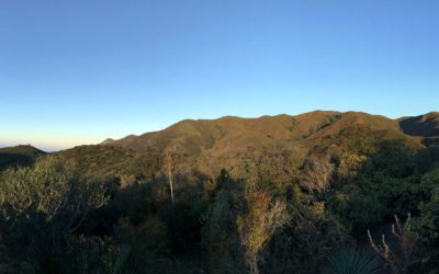 Blue Jay Campground | Cleveland National Forest