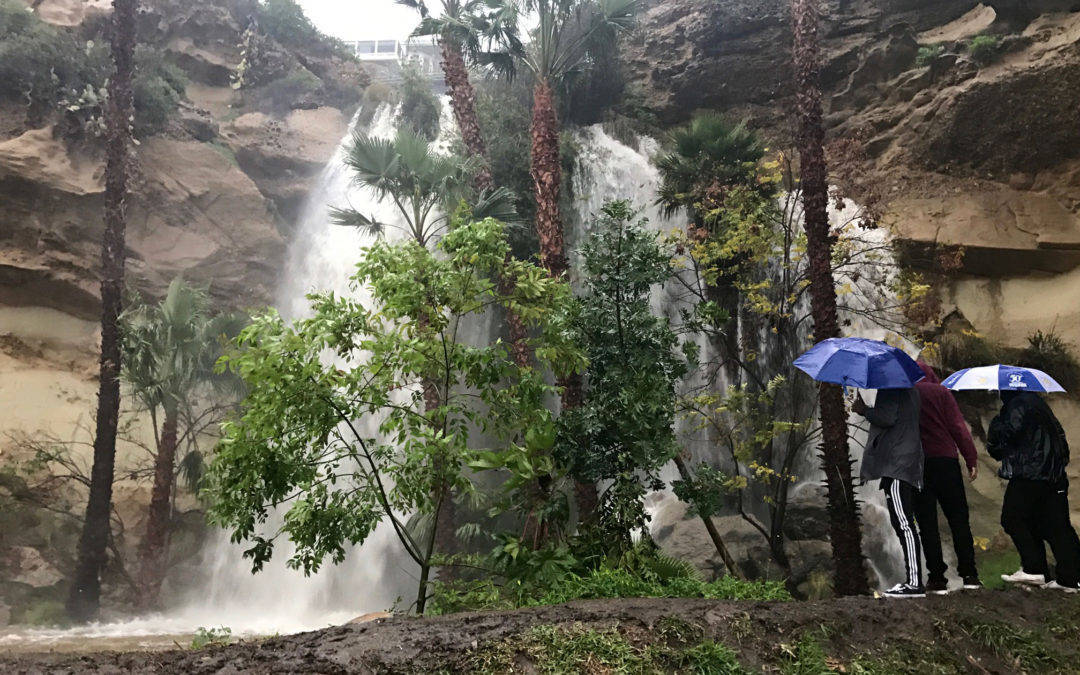 dana point harbor, dana point water fall, cool waterfall in orange county, beach waterfall, Dana Point Harbor Waterfall