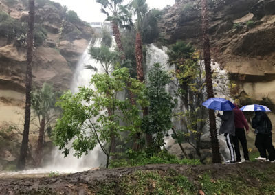 dana point harbor, dana point water fall, cool waterfall in orange county, beach waterfall, Dana Point Harbor Waterfall