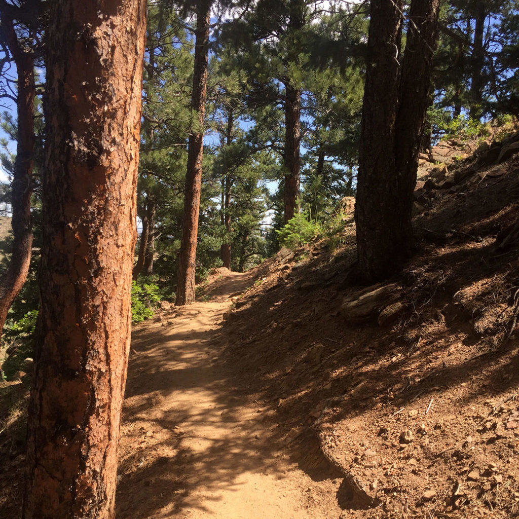 goldencoloradohikingtrail1 Go Hike It
