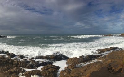 Half Moon Bay Hike | Cowell-Purisima Hiking Trail