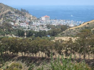 Wrigley Monument, Go Hike It, Sean Tiner, Ashley Tiner, Things to Do In California, Best Catalina Hikes, Catalina Hiking Trails,