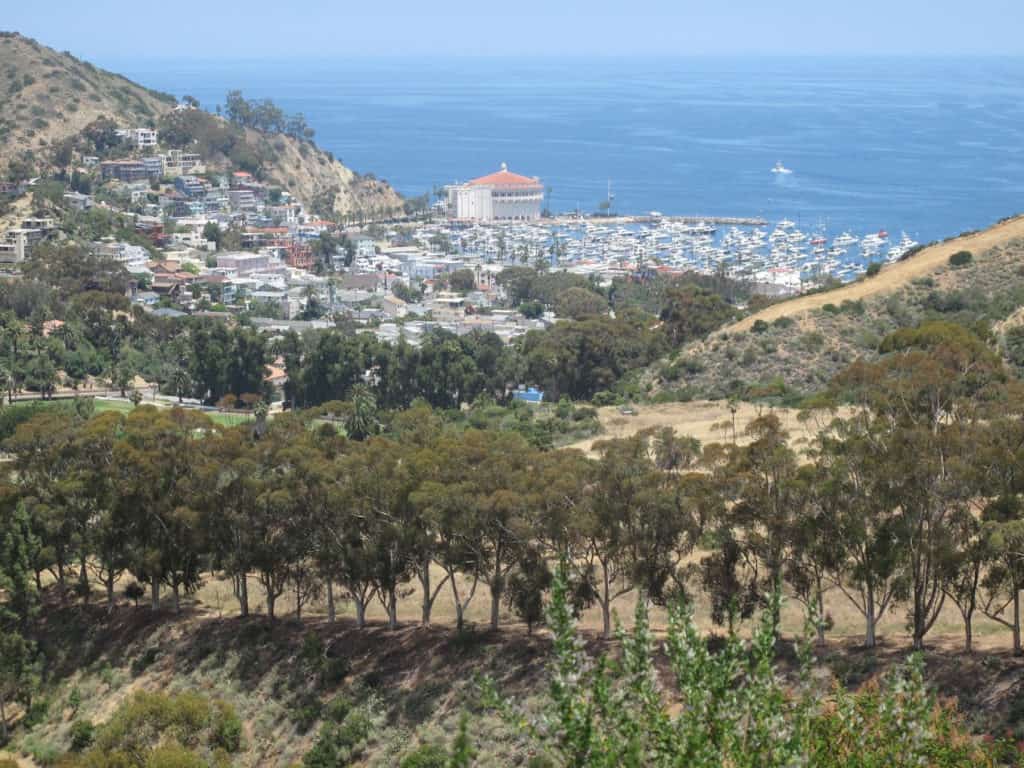 avalon catalina hiking trail, catalina hikes